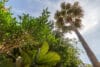 Haus in Molinar in begehrtester Lage mit Meerblick und Innenhof. Mehr Meer und Meerblick - PS03979 Townhouse in prime location with sea views terrace and patio in Molinar Palma Mallorca-34