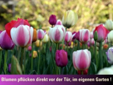 Bauen Sie Ihr Haus! Baugrund mit Altbestand und Erweiterungsoptionen, 81827 München / Trudering, Wohngrundstück